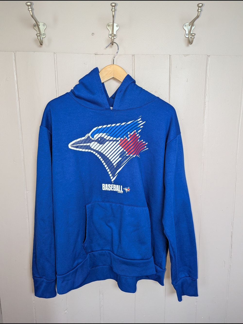 Blue Toronto Blue Jays Graphic Pullover Hoodie - Men's